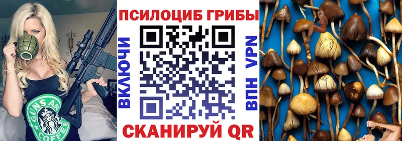 Купить где  Лагань  Псилоцибиновые грибы мухоморы 